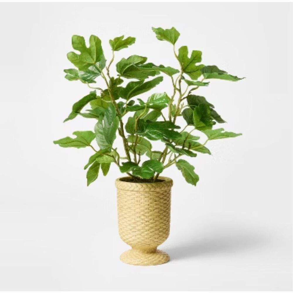 Artificial Fig Leaf Arrangement in Woven Pot - Threshold™ designed with Studio M